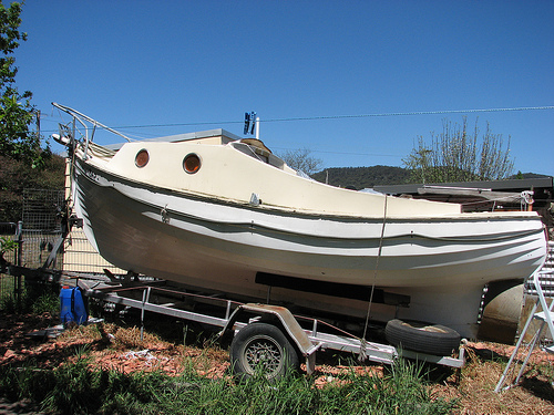 Photo by Botheredbybees