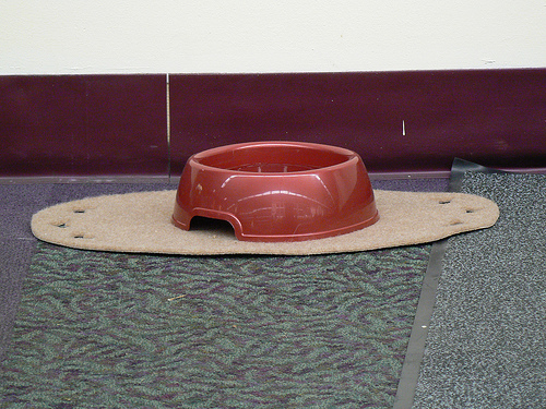 Dog Bowl by Keenan Pepper via Flickr