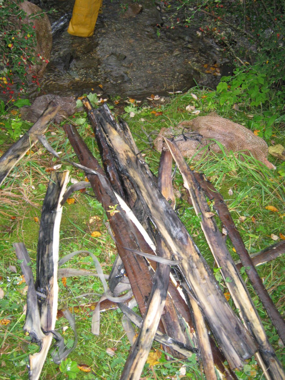 Lime tree bark after four months in the sea.