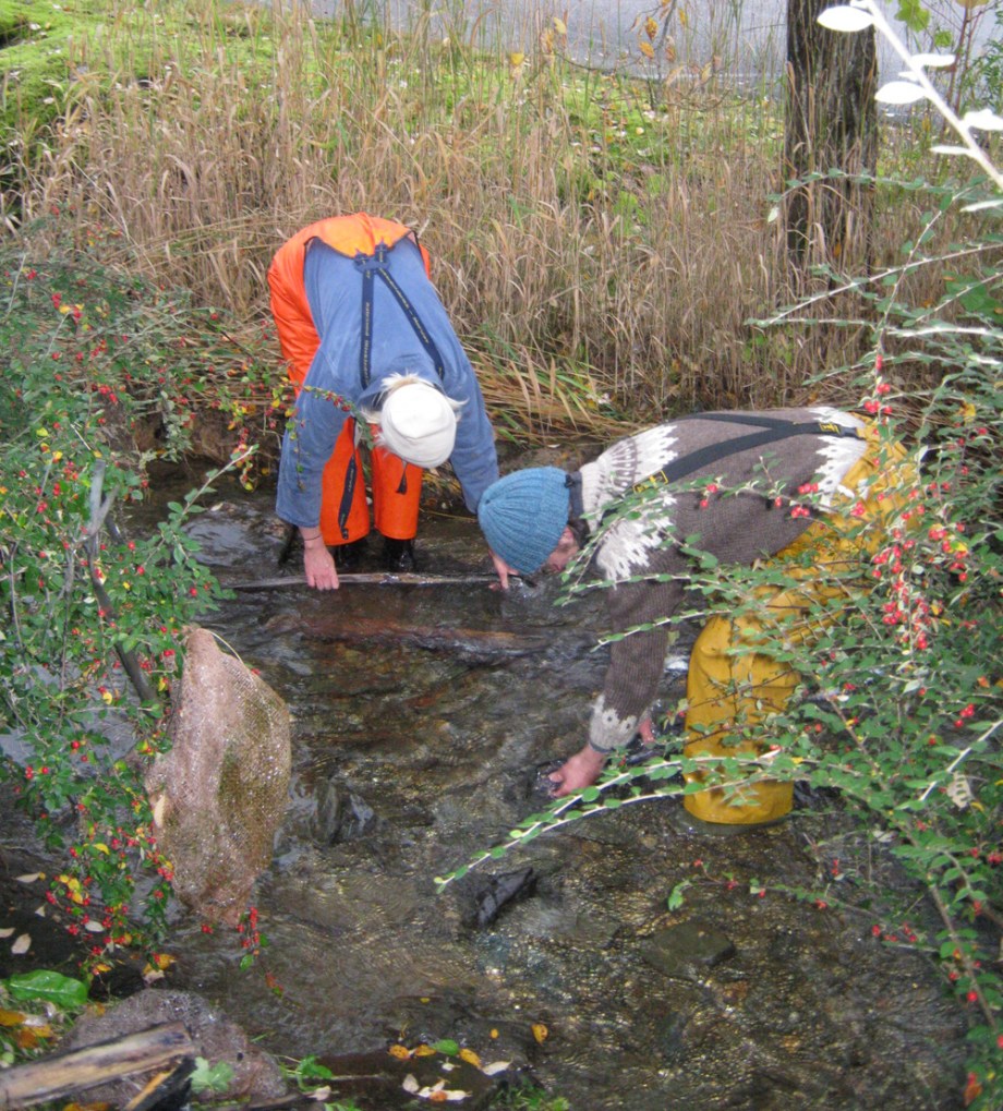 Rinsing slime off lime tree bark before splitting fiber layers