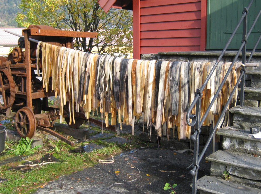 Lime tree bark swatches drying